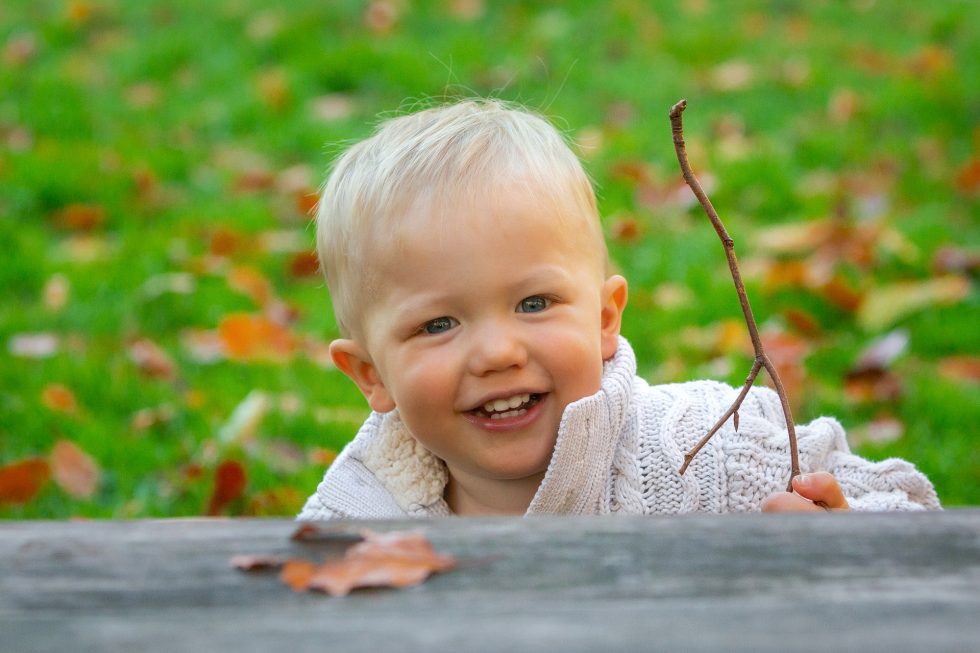 A smiling toddler with blonde hair and a cream knitted jumper holds a stick while standing behind a wooden surface outdoors, with green grass and scattered autumn leaves in the background.